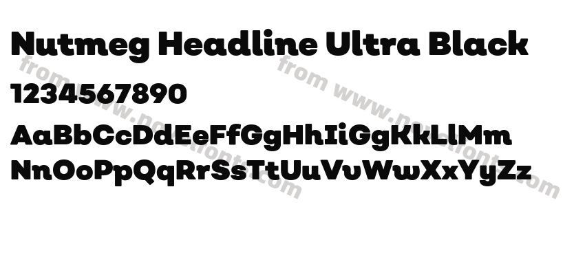 Nutmeg Headline Ultra BlackPreview