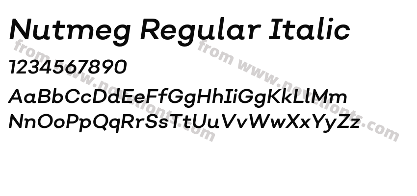 Nutmeg Regular ItalicPreview