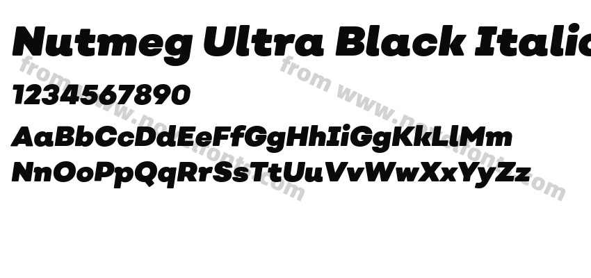 Nutmeg Ultra Black ItalicPreview
