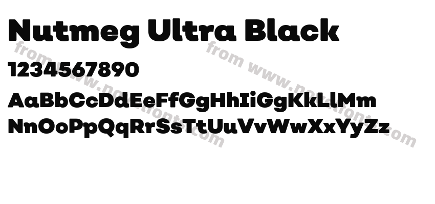 Nutmeg Ultra BlackPreview