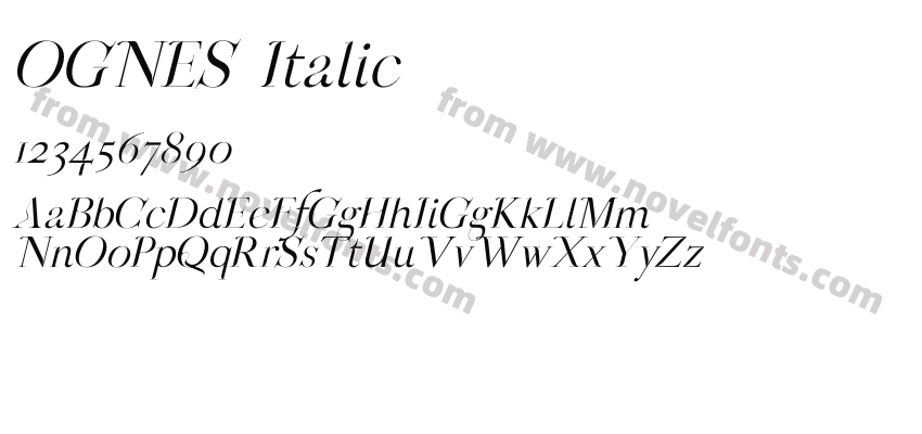 OGNES ItalicPreview
