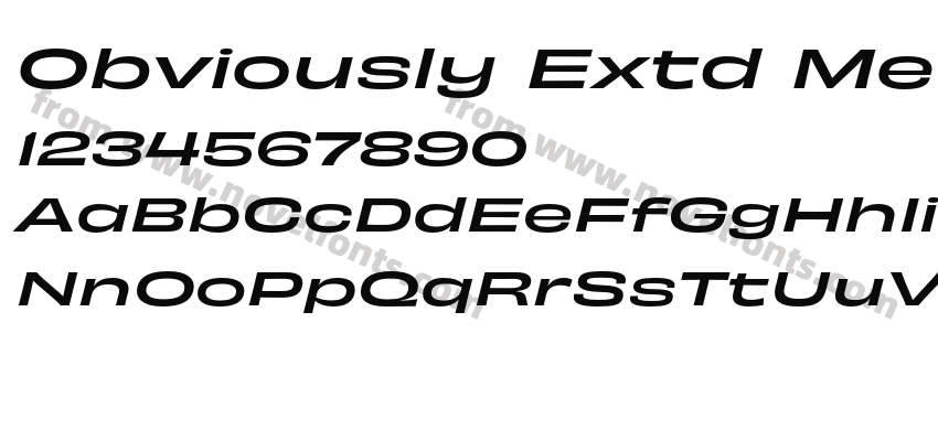 Obviously Extd Medi ItalicPreview