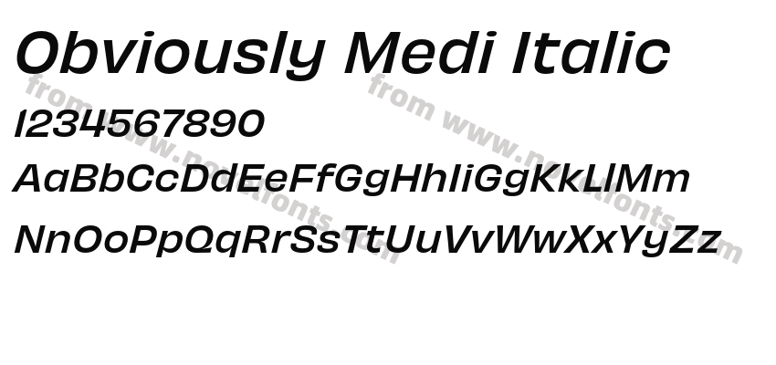 Obviously Medi ItalicPreview
