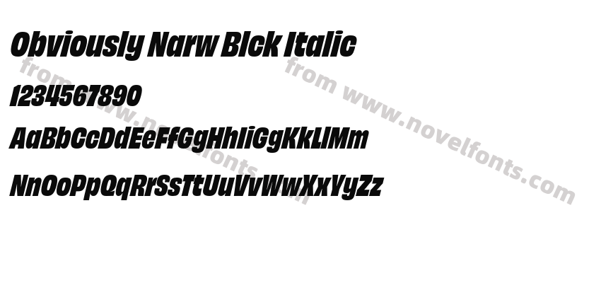 Obviously Narw Blck ItalicPreview