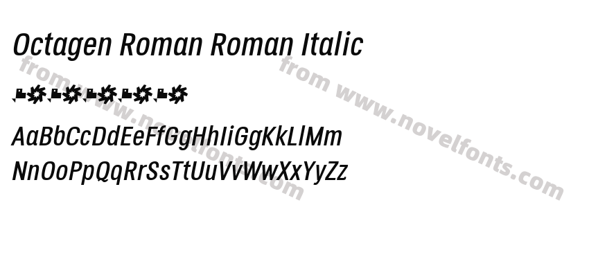 Octagen Roman Roman ItalicPreview