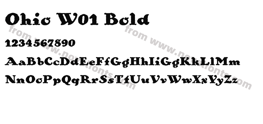 Ohio W01 BoldPreview