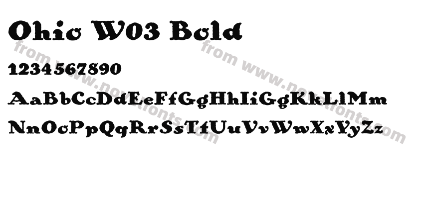 Ohio W03 BoldPreview