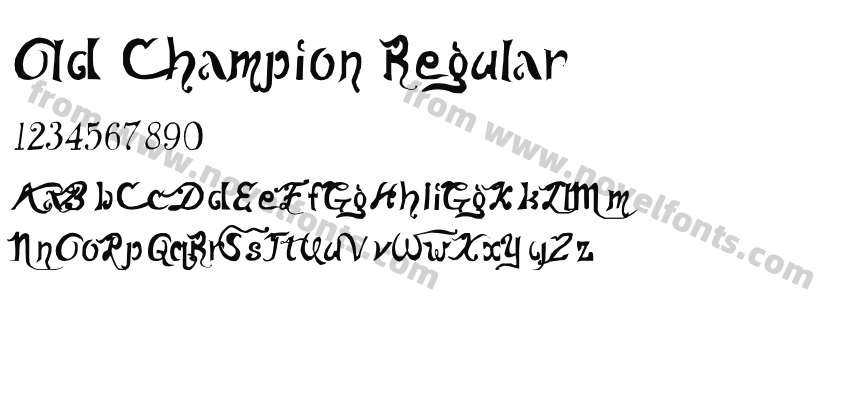 Old Champion RegularPreview