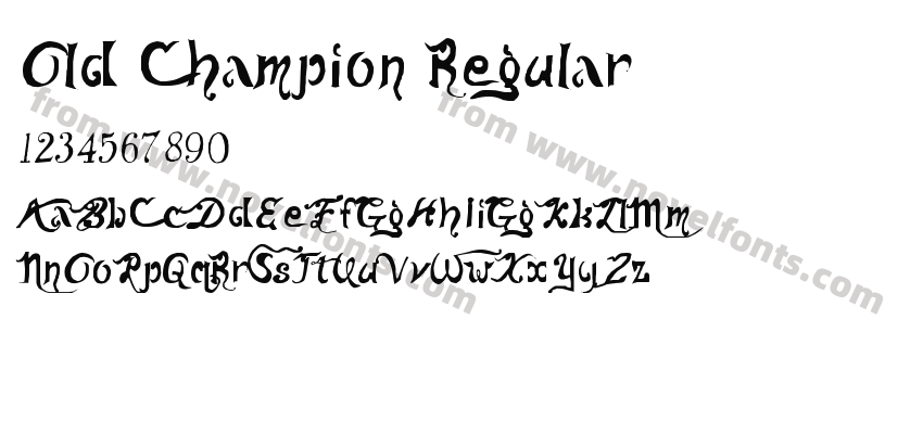 Old Champion RegularPreview