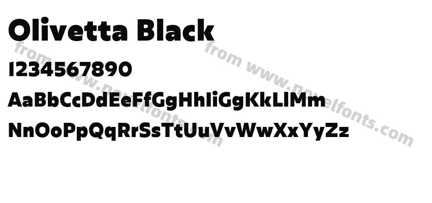 Olivetta BlackPreview