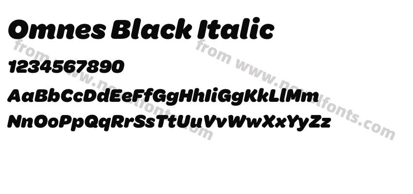 Omnes Black ItalicPreview