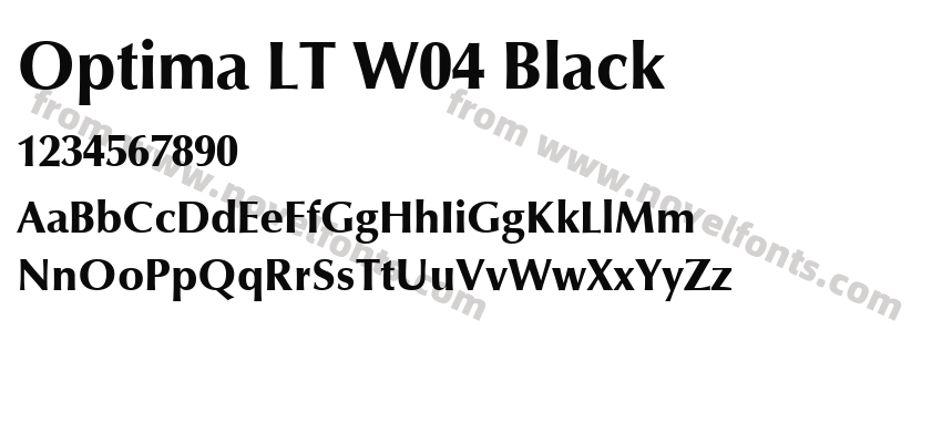 Optima LT W04 BlackPreview