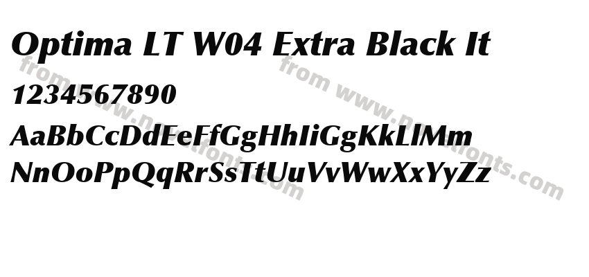 Optima LT W04 Extra Black ItPreview