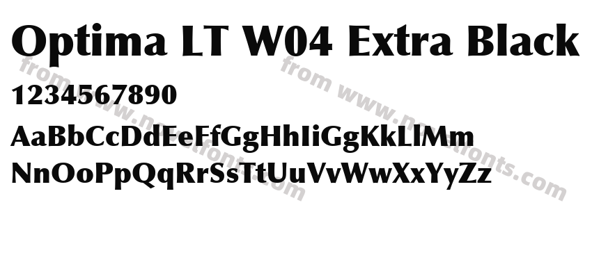 Optima LT W04 Extra BlackPreview