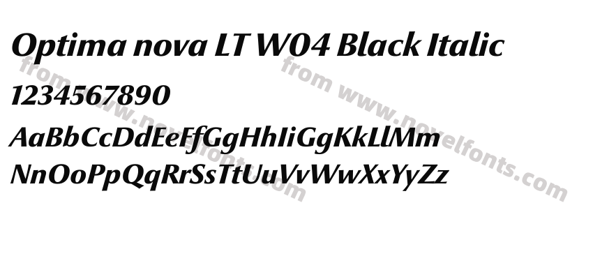 Optima nova LT W04 Black ItalicPreview