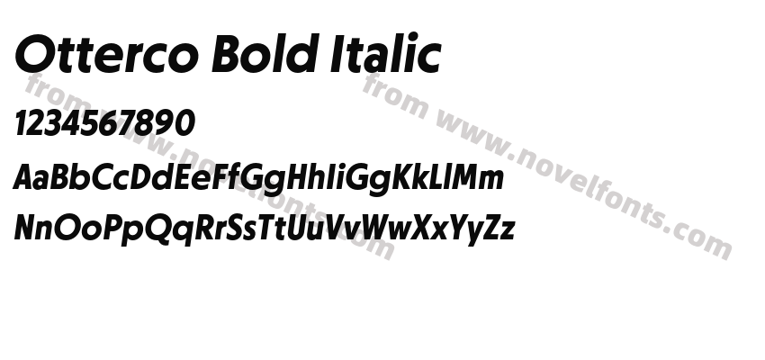 Otterco Bold ItalicPreview