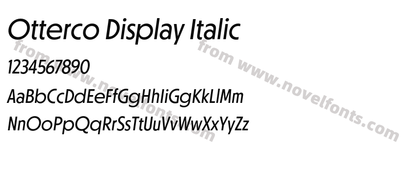 Otterco Display ItalicPreview