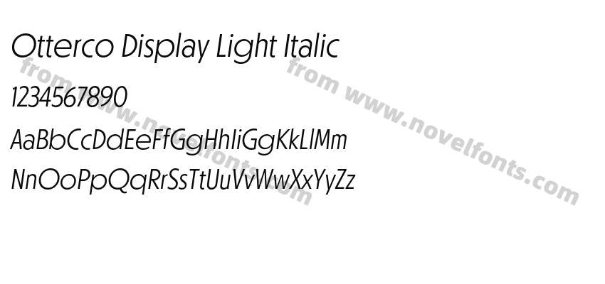 Otterco Display Light ItalicPreview