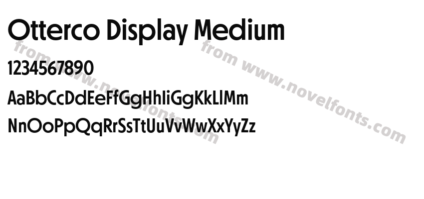Otterco Display MediumPreview