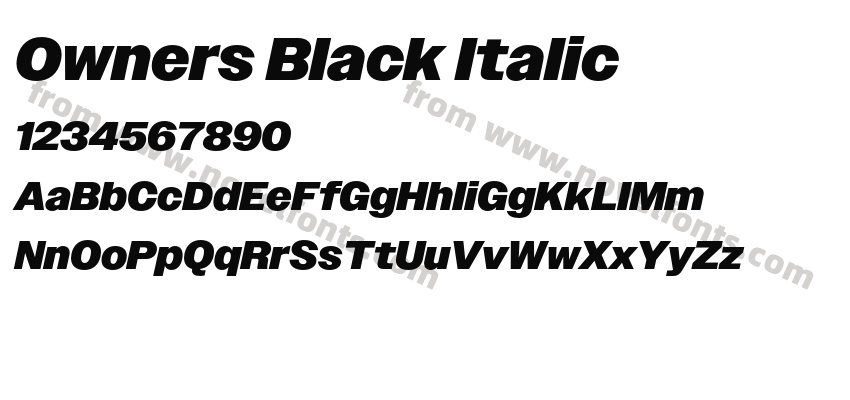 Owners Black ItalicPreview
