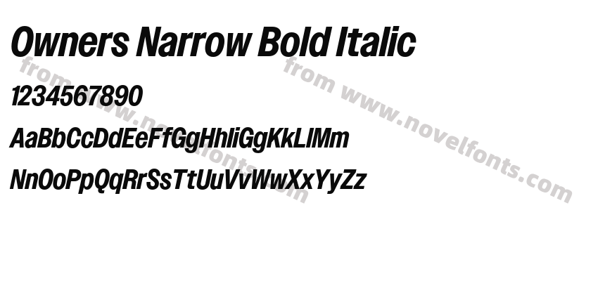 Owners Narrow Bold ItalicPreview
