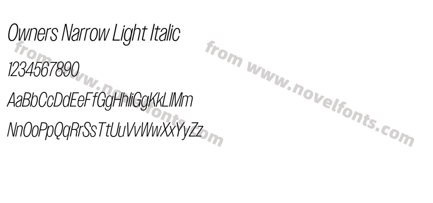 Owners Narrow Light ItalicPreview