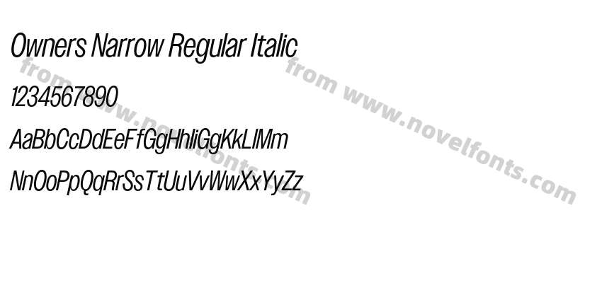 Owners Narrow Regular ItalicPreview