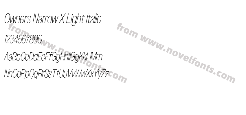 Owners Narrow X Light ItalicPreview