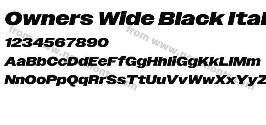 Owners Wide Black ItalicPreview
