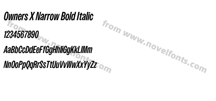 Owners X Narrow Bold ItalicPreview