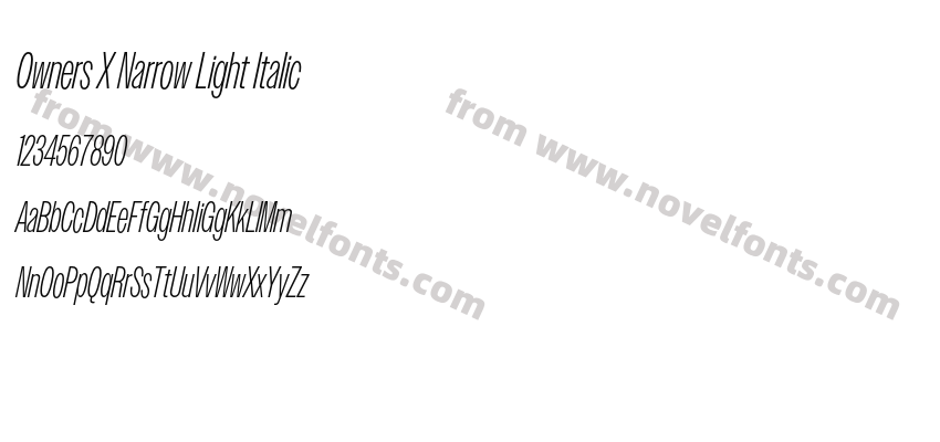 Owners X Narrow Light ItalicPreview