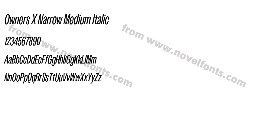 Owners X Narrow Medium ItalicPreview