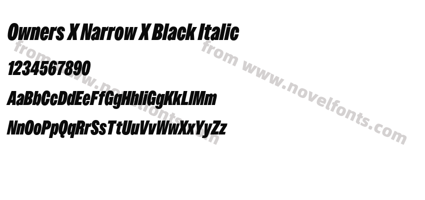 Owners X Narrow X Black ItalicPreview