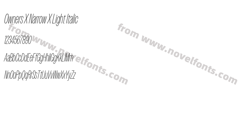 Owners X Narrow X Light ItalicPreview