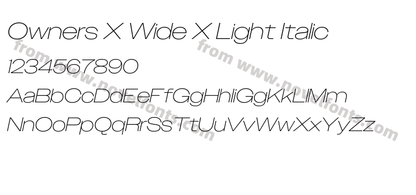 Owners X Wide X Light ItalicPreview