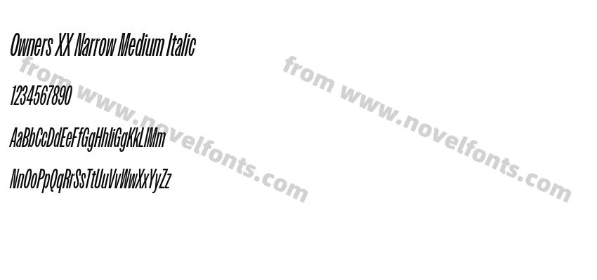 Owners XX Narrow Medium ItalicPreview