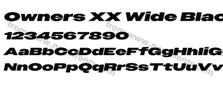 Owners XX Wide Black ItalicPreview