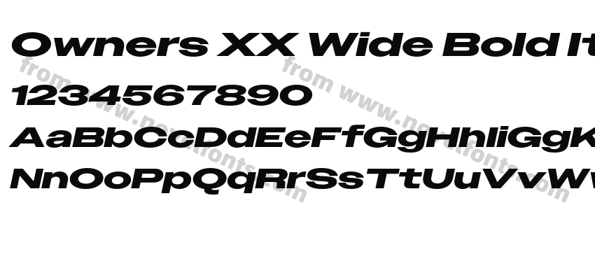 Owners XX Wide Bold ItalicPreview