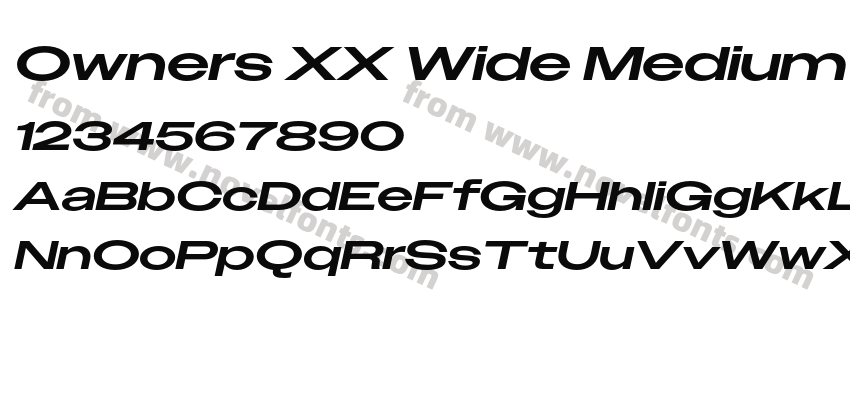 Owners XX Wide Medium ItalicPreview