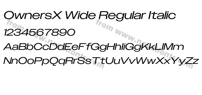 OwnersX Wide Regular ItalicPreview