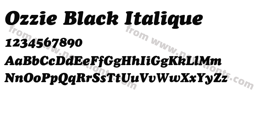 Ozzie Black ItaliquePreview