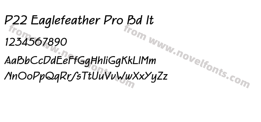 P22 Eaglefeather Pro Bd ItPreview