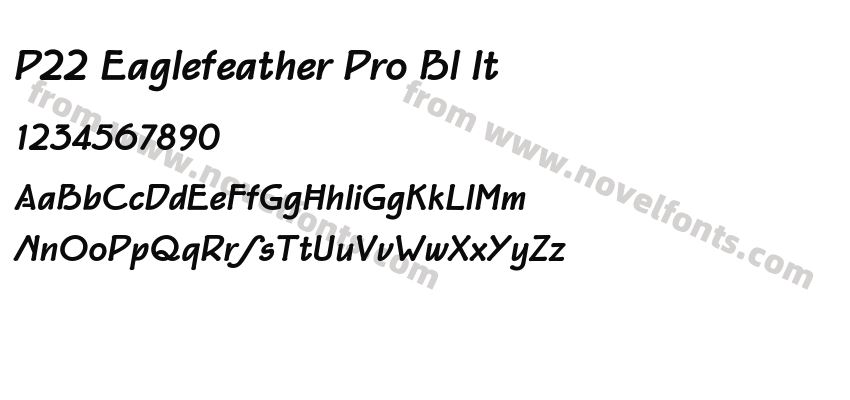 P22 Eaglefeather Pro Bl ItPreview