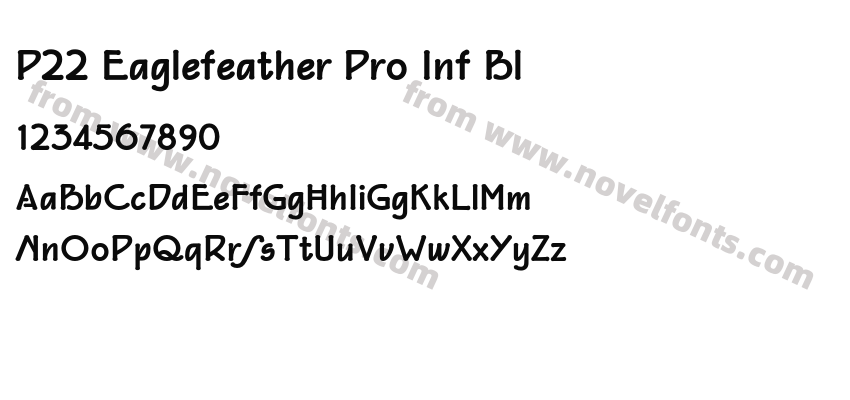 P22 Eaglefeather Pro Inf BlPreview