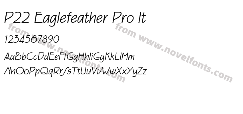 P22 Eaglefeather Pro ItPreview
