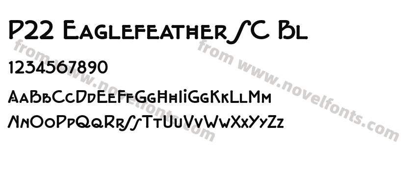 P22 Eaglefeather SC BlPreview