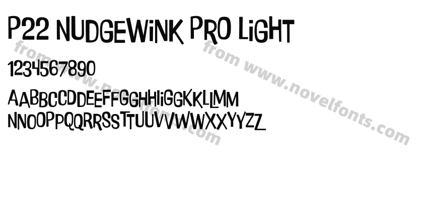 P22 Nudgewink Pro LightPreview