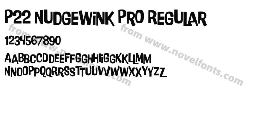 P22 Nudgewink Pro RegularPreview