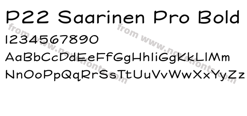 P22 Saarinen Pro BoldPreview