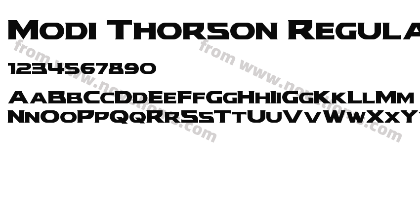 Modi Thorson RegularPreview